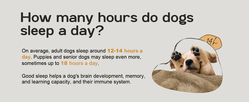 Ultimate XL Orthopedic Memory Foam Dog Bed for Large Breeds – Luxury Comfort, Waterproof Durability, and Easy Maintenance