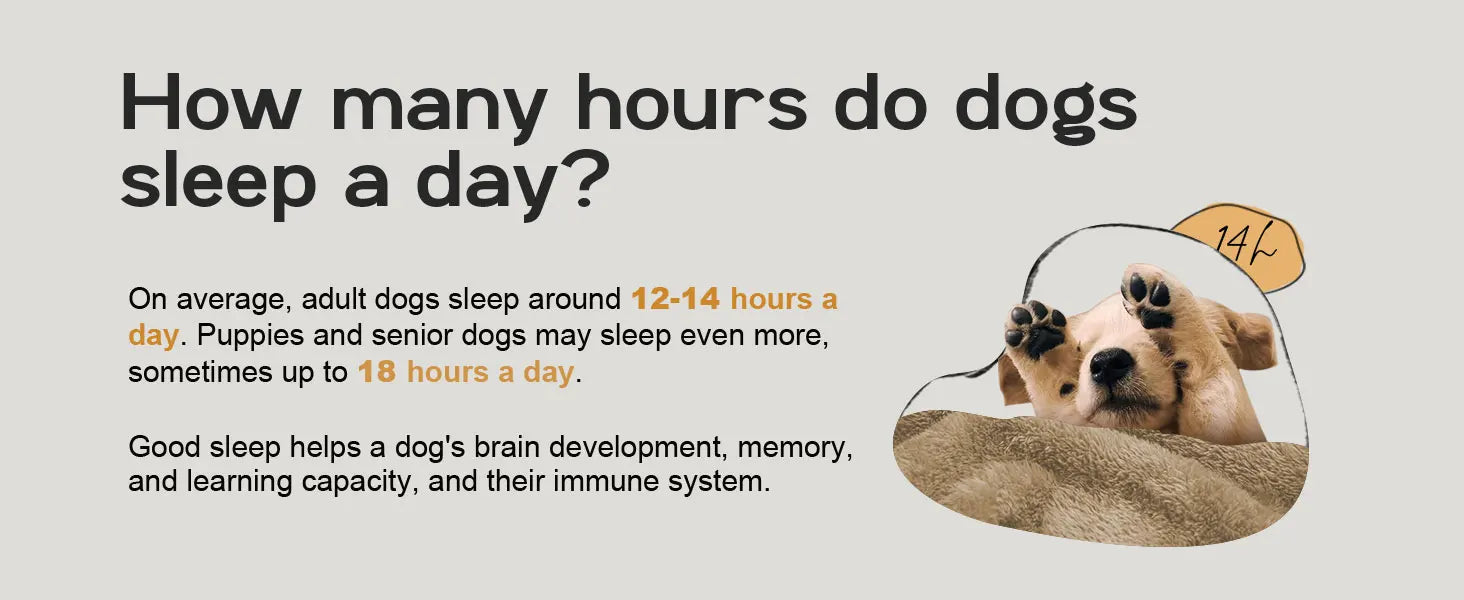 Ultimate XL Orthopedic Memory Foam Dog Bed for Large Breeds – Luxury Comfort, Waterproof Durability, and Easy Maintenance